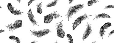 Tüy Şablonu Siyah ve Beyaz