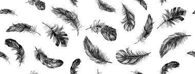 Tüy Şablonu, Beyaz üzerine Siyah