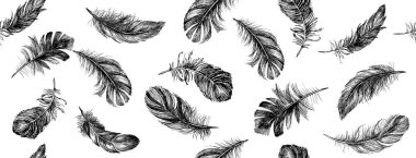 Tüy Şablonu, Beyaz üzerine Siyah