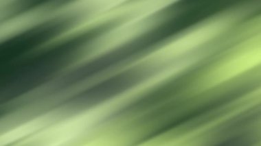 PowerPoint sunumları, web sitesi tasarımı, sosyal medya grafikleri ve dijital pazarlama kampanyaları için uygun yeşil ve beyaz bulanık arkaplan.