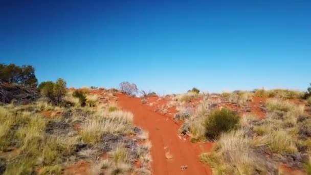 Antenne Der Roten Piste Die Zum Trockenen See Ikonischen Australischen — Stockvideo