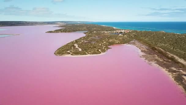 Luftaufnahme Großer Rosa Wassersee Mit Blauem Meer Hintergrund Hutt Lagoon — Stockvideo