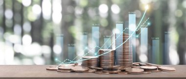 Ticari grafiği olan para yığını, mali yatırım kavramı