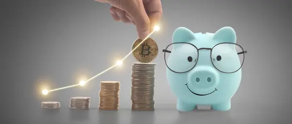 Монета Торговым Графиком Концепция Финансовых Инвестиций Piggy Bank Стоковое Изображение