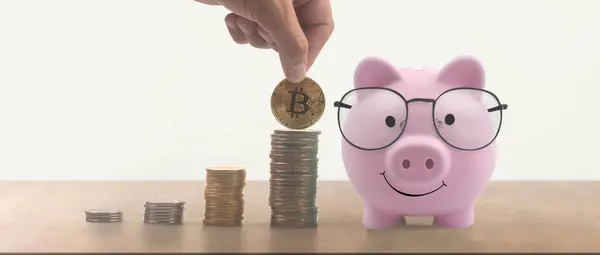 Монета Торговым Графиком Концепция Финансовых Инвестиций Piggy Bank Стоковое Фото