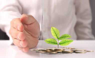 avuç bozukluk çimlenme bitki tutan işadamı