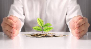 avuç bozukluk çimlenme bitki tutan işadamı