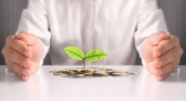 avuç bozukluk çimlenme bitki tutan işadamı