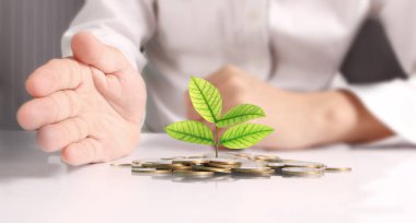 avuç bozukluk çimlenme bitki tutan işadamı