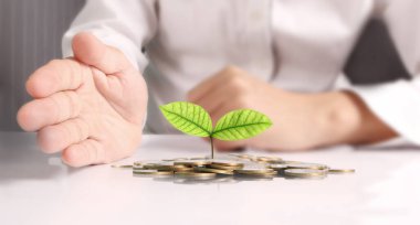 avuç bozukluk çimlenme bitki tutan işadamı