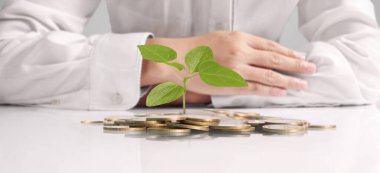 avuç bozukluk çimlenme bitki tutan işadamı