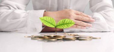 avuç bozukluk çimlenme bitki tutan işadamı