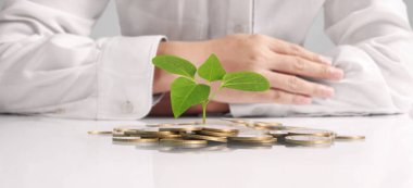 avuç bozukluk çimlenme bitki tutan işadamı