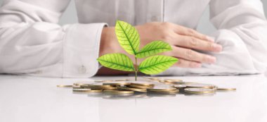 avuç bozukluk çimlenme bitki tutan işadamı