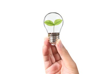 Bir elde ampul İş Konsepti, İş Yaklaşımları ve Finans, Bankacılık ve Yatırım Başarı