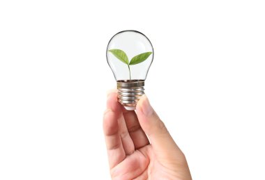 Bir elde ampul İş Konsepti, İş Yaklaşımları ve Finans, Bankacılık ve Yatırım Başarı