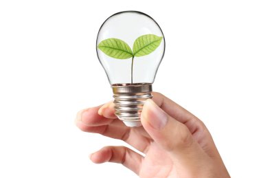 Bir elde ampul İş Konsepti, İş Yaklaşımları ve Finans, Bankacılık ve Yatırım Başarı