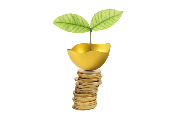 Madeni paraların üzerinde altın yumurta kabuğundan çıkan bir bitki ile finansal büyümenin yaratıcı bir temsili..