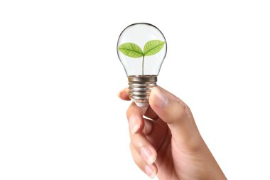 Bir elde ampul İş Konsepti, İş Yaklaşımları ve Finans, Bankacılık ve Yatırım Başarı