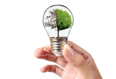 Bir elde ampul İş Konsepti, İş Yaklaşımları ve Finans, Bankacılık ve Yatırım Başarı