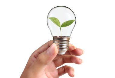 Bir elde ampul İş Konsepti, İş Yaklaşımları ve Finans, Bankacılık ve Yatırım Başarı