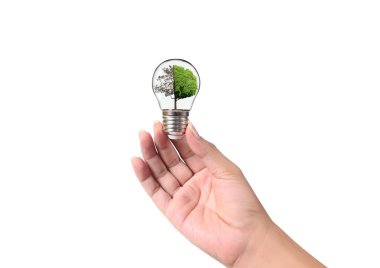 Bir elde ampul İş Konsepti, İş Yaklaşımları ve Finans, Bankacılık ve Yatırım Başarı