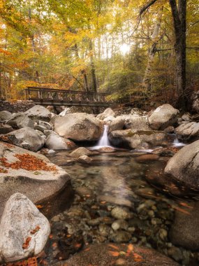L 'Agnone nehri, Korsika' daki Vizzavona ormanının sonbahar yeşilliklerinden geçerken ahşap bir köprünün altında çağlar.