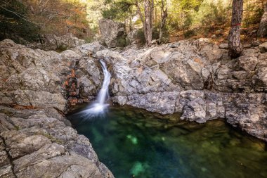 L 'Agnone nehri kayaların üzerinden Korsika' daki GR20 patikasının yanındaki Vizzavona ormanındaki doğal bir havuza akar.