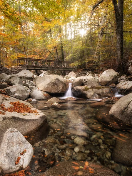 Agnone River Cascades Wooden Bridge Passes Autumnal Foliage Forest Vizzavona — Stock Photo, Image