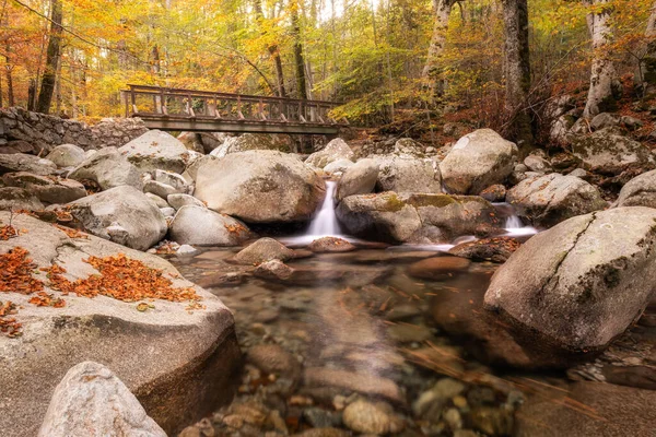 Agnone River Cascades Wooden Bridge Passes Autumnal Foliage Forest Vizzavona — Stock Photo, Image