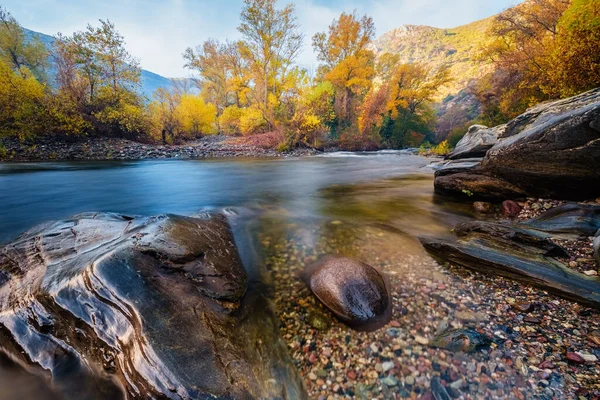Herbstliches Laub Und Dramatische Felsbrocken Fluss Golo Torrent Cipetto Bei — Stockfoto