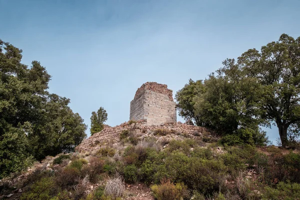 Castellu Seravalle Harabeleri Yüzyılda Korsika Daki Popolasca Köyünün Yakınlarındaki Bir — Stok fotoğraf