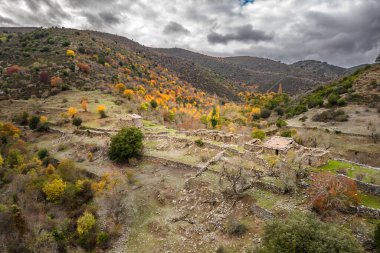 Korsika 'da Col de San Colombano yakınlarındaki Maltiola' daki terk edilmiş taş çiftlik binalarının hava manzarası sonbahar ağaçlarıyla çevrili.