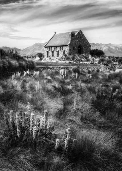 Black & white image of the Church of the Good Shepherd on the banks of Lake Tekapo in Christchurch with lupins in the foreground