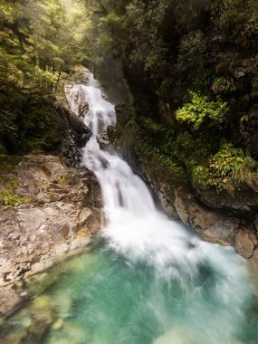 Christie Falls, a waterfall cascading through the dense rainforest near Highway 94 to Milford Sound in South Island, New Zealand