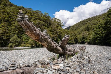 An old fallen tree trunk covered in man made stone cairns at Fantail Falls in New Zealand surrounded by rainforest