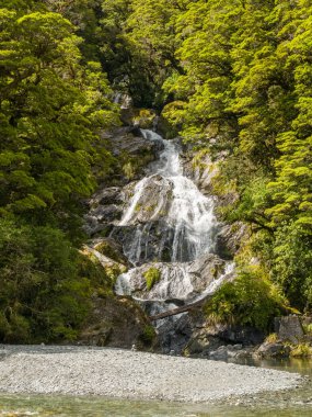 Fantail Falls, a waterfall cascading through the dense rainforest near Highway 6 on the South Island of New Zealand