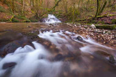 Autoire nehri üzerindeki şelale Fransa 'nın Lot bölgesindeki Autoire köyünün yakınındaki bir ormanlık araziden geçiyor.