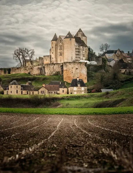 Salignac Eyvigues Nouvelle Aquitaine Francja Marca 2024 Chateau Salignac Gminie — Zdjęcie stockowe