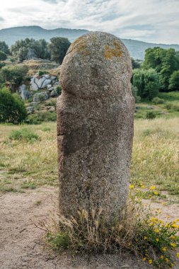A prehistoric standing stone or Menhir at Filitosa in Corsica clipart