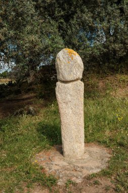 A prehistoric standing stone or Menhir at Filitosa in Corsica clipart