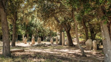Korsika 'daki Cauria' da tarih öncesi dikilen taşlar veya Menhirs