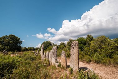 Palaggiu 'nun Menhirs' i, Korsika adasının güneyinde büyük bir tarih öncesi taş grubu.