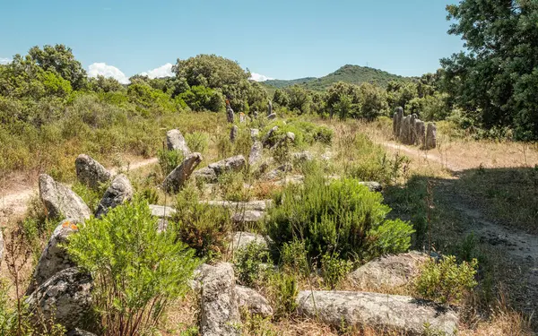 Palaggiu 'nun Menhirs' i, Korsika adasının güneyinde büyük bir tarih öncesi taş grubu.