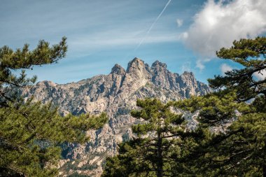 Aiguilles de Bavella, Korsika 'nın merkezinde çam ormanlarıyla çevrili kayalık dağ tepeleri gibi bir iğne.