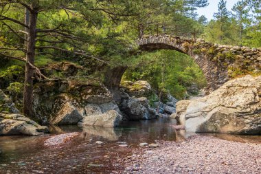 Tartagine nehri, Akdeniz 'in Korsika adasının Balagne bölgesindeki çam ormanlarıyla çevrili antik bir Ceneviz köprüsünün altından akıyor.