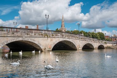 Bir grup Dilsiz Kuğu, İngiltere 'nin Bedfordshire kentindeki Bedford kasabasındaki kasaba köprüsünde Büyük Ouse nehrinde St Paul Kilisesi' nin kulesiyle