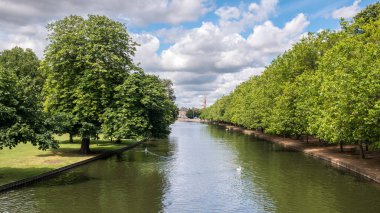 Bedfordshire, İngiltere 'nin Bedfordshire kasabasındaki Embankment' ta Büyük Ouse nehrinde iki Dilsiz Kuğu.