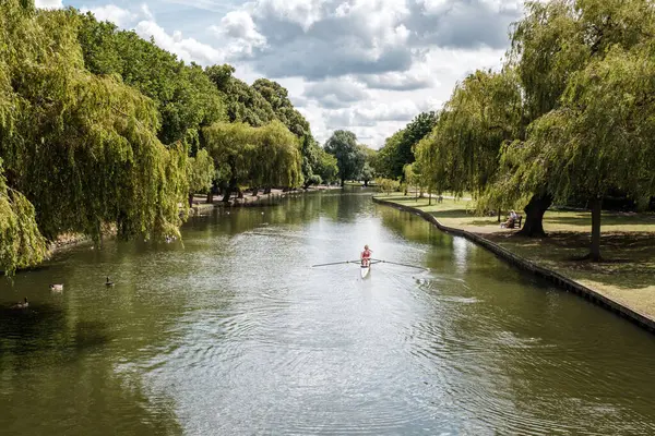 stock image Bedford, England - 8th July 2024: A rower training in a single scull on the river Great Ouse in the town of Bedford in Bedfordhire, England