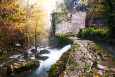 Moulin du Saut, 18. yüzyılda terkedilmiş, Fransa 'nın Lot bölgesindeki Alzou nehri üzerindeki sonbahar renklerinde bir ormanda su değirmeni.